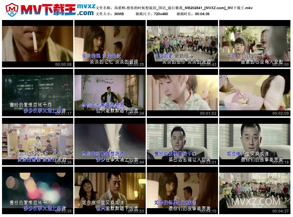 尚裘峰-想你的时候想流泪_国语_流行歌曲_MB202841